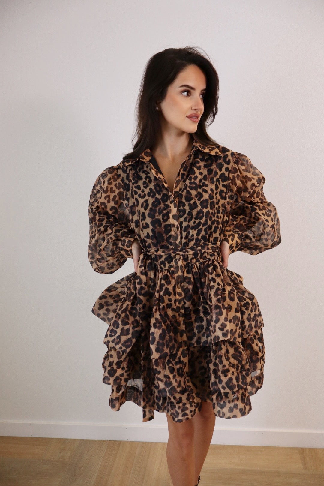 Leopard Dress